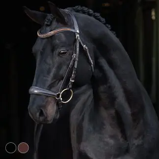 Hansbo Sport Träns HELIX Remont Brun Cob