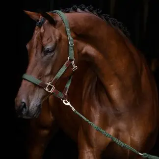 Hansbo Sport Grimma ENIGMA Grön Cob