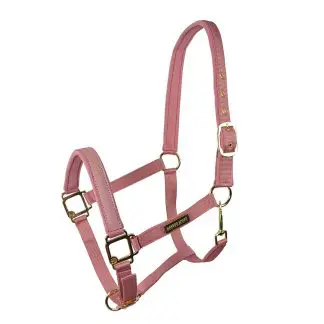 Hansbo Sport Grimma EQUESTRIAN LIFE Rosa Ponny