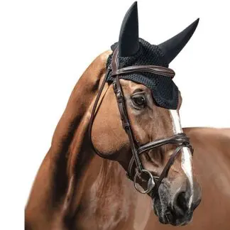 Equiline Dave C SL flughuva 002 blue