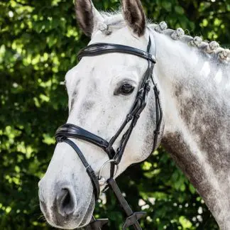 Prestige E141 Träns komb nosgr Svart Cob