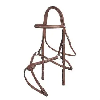 Renaissance Ren Mexican bridle w embroidery London Cob