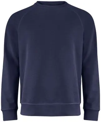 Clear Collar Raglan Sweatshirt Junior