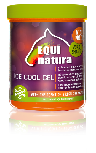 Equinatura Ice Cool Gel 600 ml