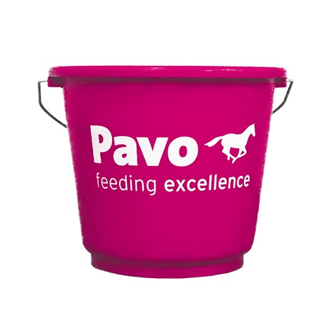 Pavo Hink